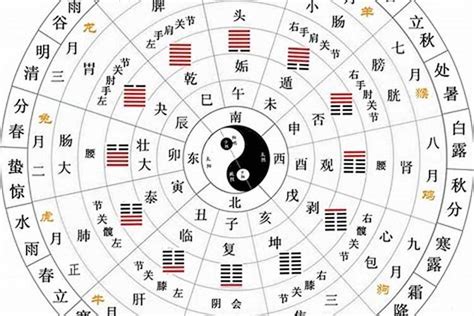 地干|天干地支五行对照表